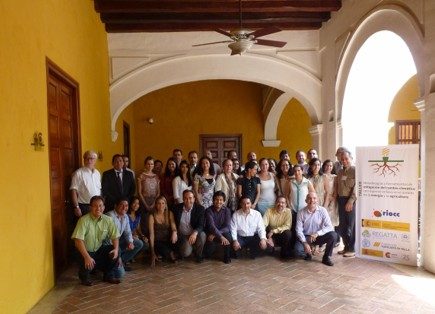 Energía y agricultura