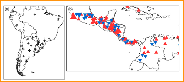 Tendencias en la precipitación media anual. (a): América del Sur (1960-2000). Los incrementos se presentan con el signo + y las reducciones con O. (b): América Central y norte de América del Sur (1961-.2003). Los triángulos rojos indican tendencias positivas y los azules negativas. Fuente: 4AR IPCC WGII 2007